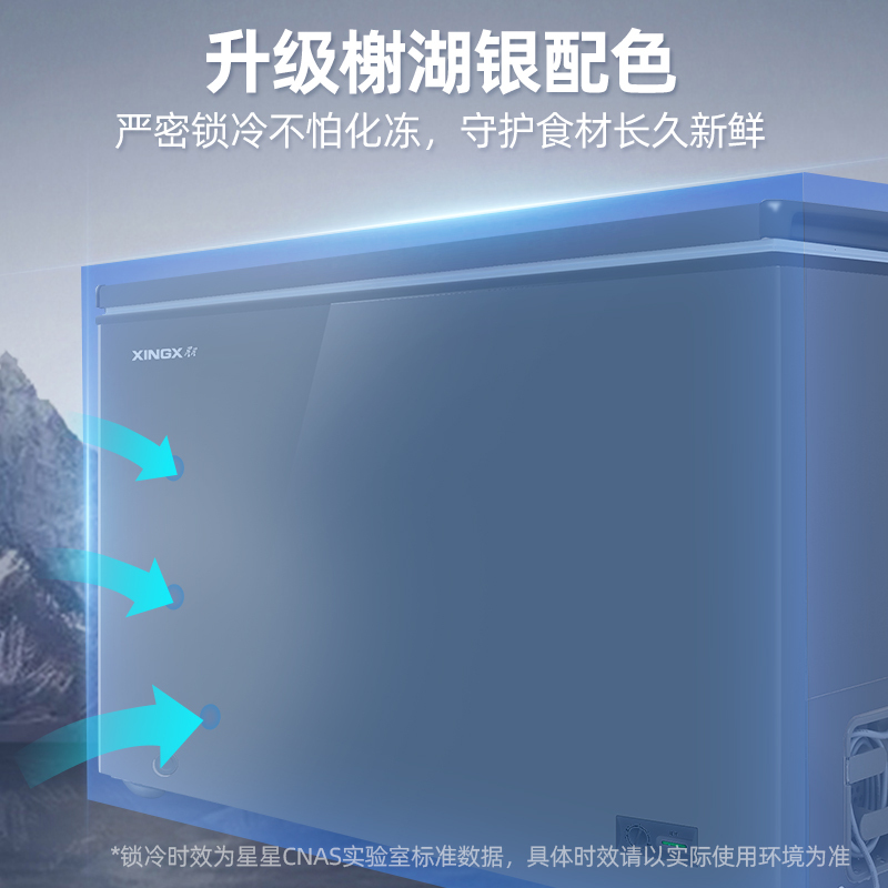 星星(XINGX) 300L 家用冷柜 卧式冷柜 冷藏冷冻转换柜 安全圆角 微霜系统 节能省电 BD/BC-300R