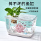 新款透明塑料鱼缸透明仿玻璃客厅中小型金鱼缸乌龟缸桌面观赏缸
