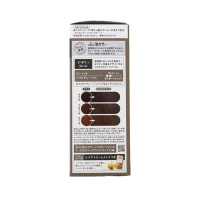 Kao 花王旗下 Liese 莉婕 泡沫染发剂 软灰杏 108ml(黑发用不遮白)