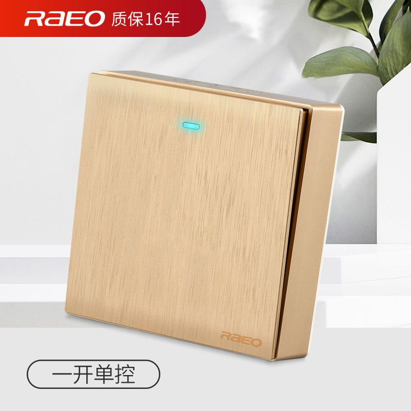 墙壁墙上开关明装一开单控白色拉丝金明线明盒单开单联