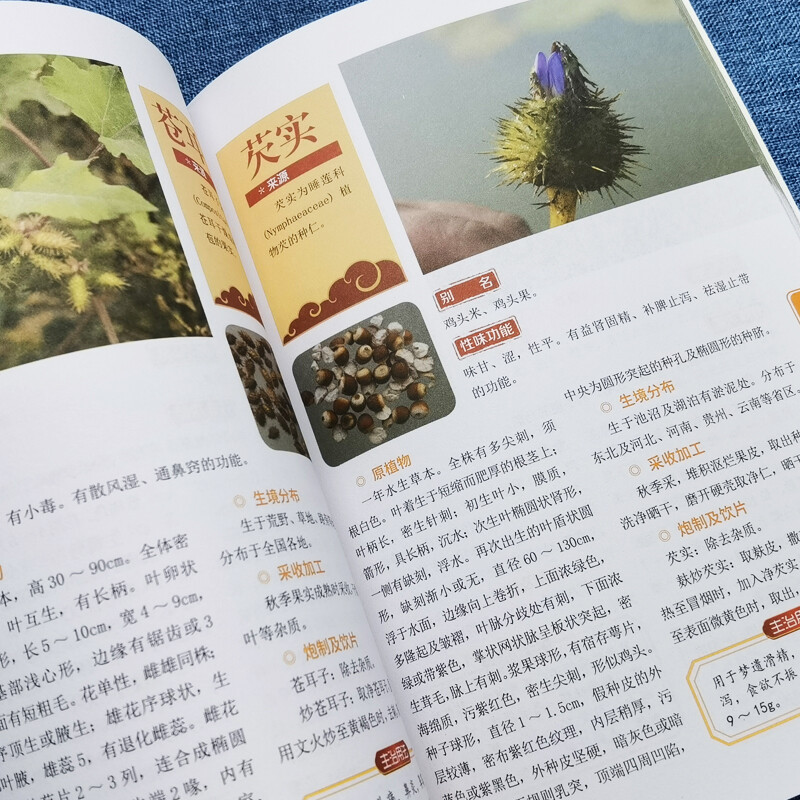 [正版]新编百草良方实用图谱 图解中草药材彩色图谱附偏方 材养生中医养