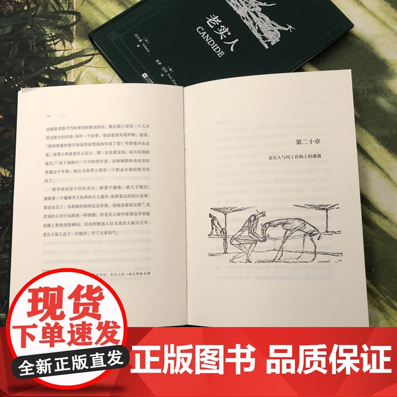 老实人 伏尔泰 傅雷翻译 后浪插图经典系列,名家名译名画 收录传世插画,精心打磨译本 正版书籍高清大图