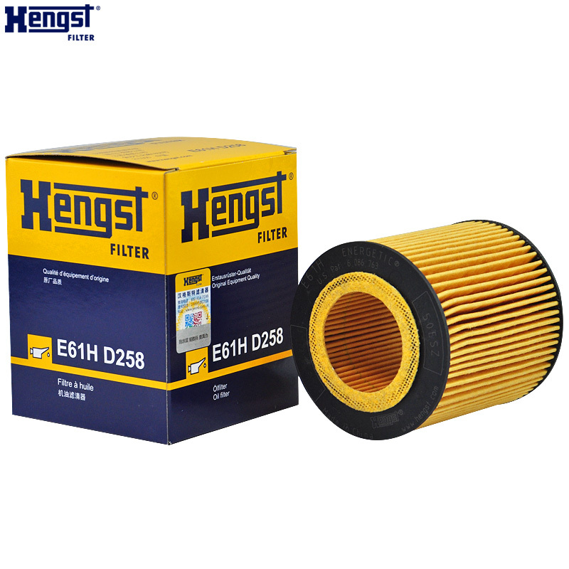 汉格斯特(hengst)机油格滤清器纸芯E61H D258适用于宝马1系2系3系4系5系X1X3X4X5X6Z4机油滤