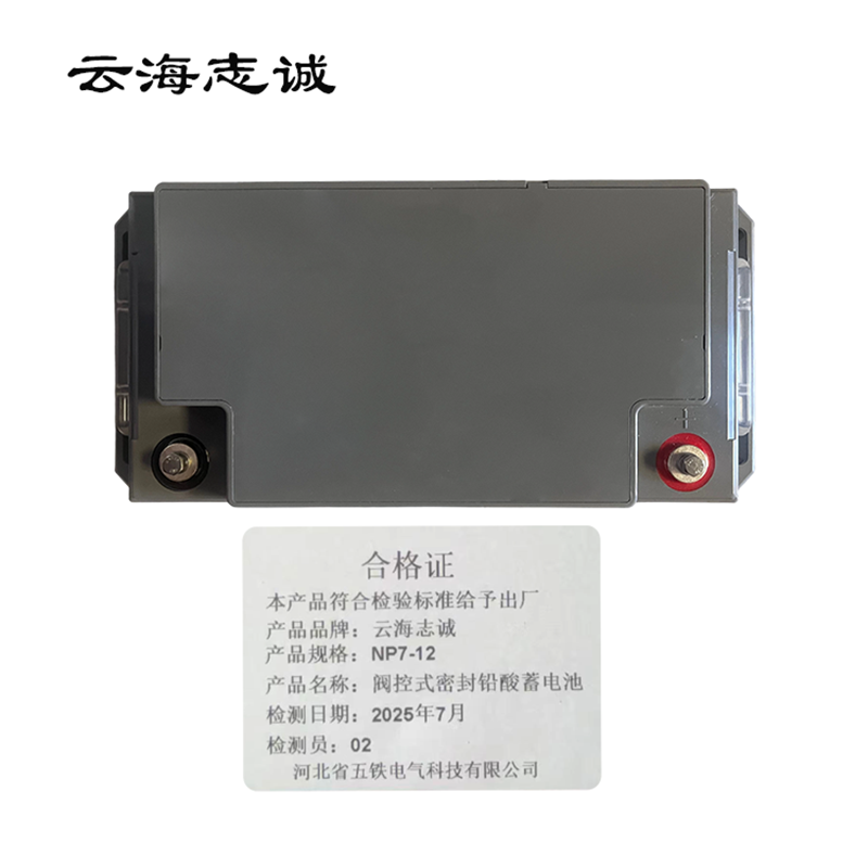 阀控式密封铅酸蓄电池 NP7-12 1只