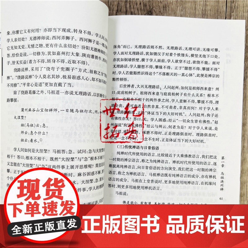 正版 洪州禅/苏树华 著 宗教文化出版社高清大图