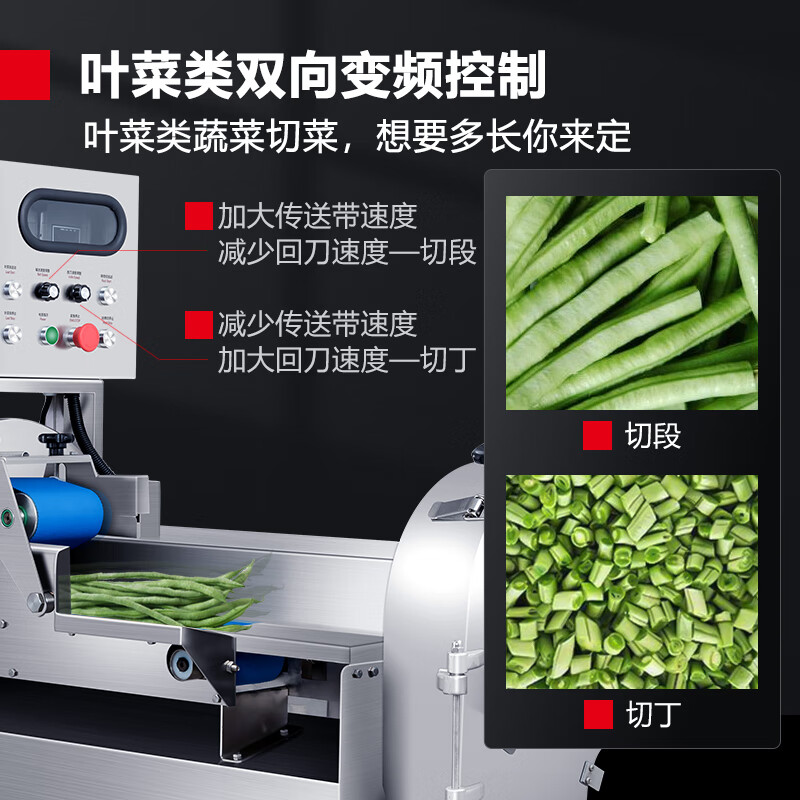 德玛仕DEMASHI切菜机切片机商用切片切丁切丝全自动多功能切片机DQC101(220V)高清大图