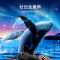 创维(SKYWORTH)75A3 75英寸 4K超高清 光学防蓝光 教育电视 2+16G内存全景屏 A7升级款75M3