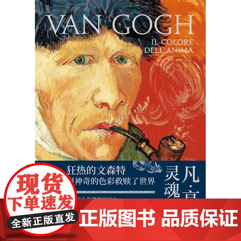 凡高 灵魂之色 恩里卡·克里斯皮诺 著 传记高清大图