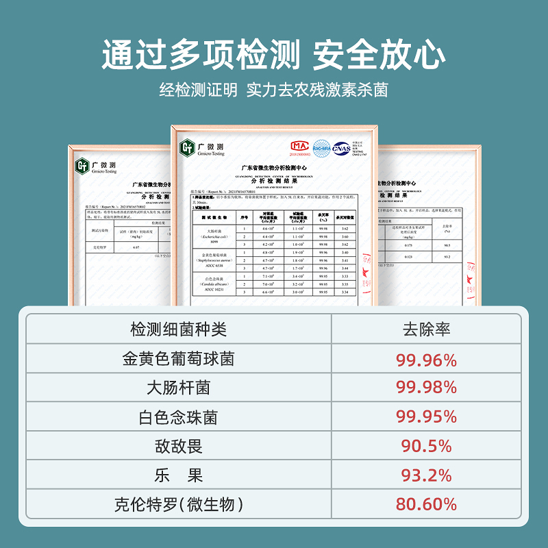 德国蓝宝(Blaupunkt)果蔬卫士壁挂式清洗机家用洗菜机全自动水果食材净化机器
