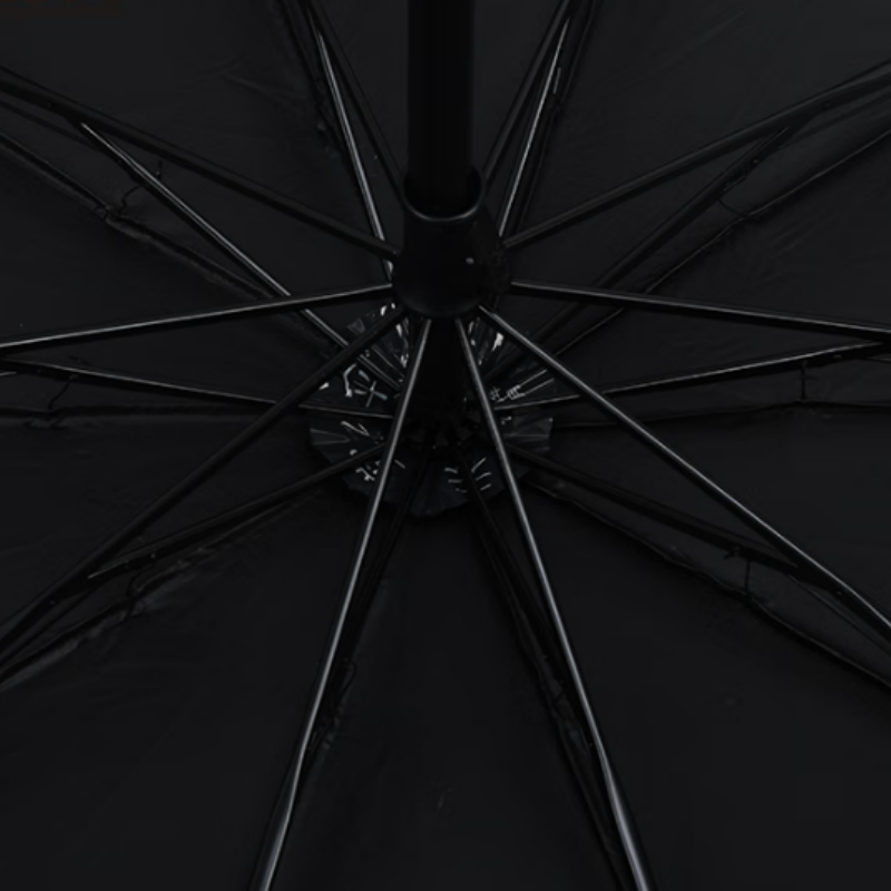 天堂双人晴雨伞三折31125E独具一格10K双人大号简约经典折叠便携伞下114CM纽曼绿高清大图