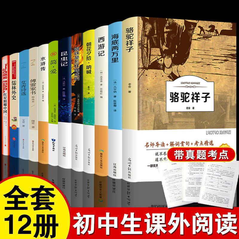 初中名著全套[12本] 12册初中生推荐名著中学生阅读书爱看的课外书骆驼祥子海底两万里