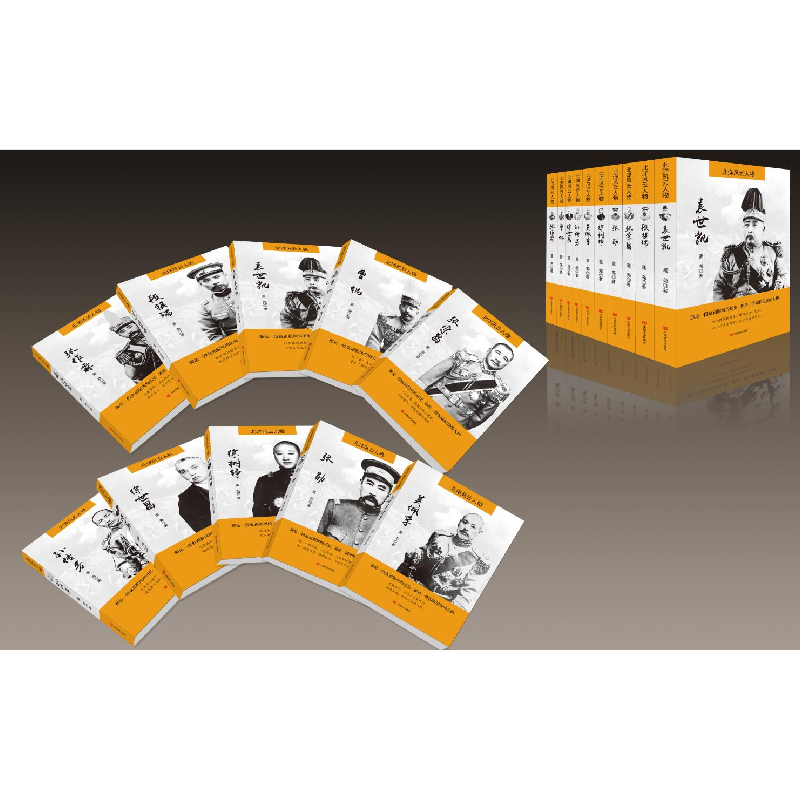 正版新书]段祺瑞董尧9787517116561高清大图