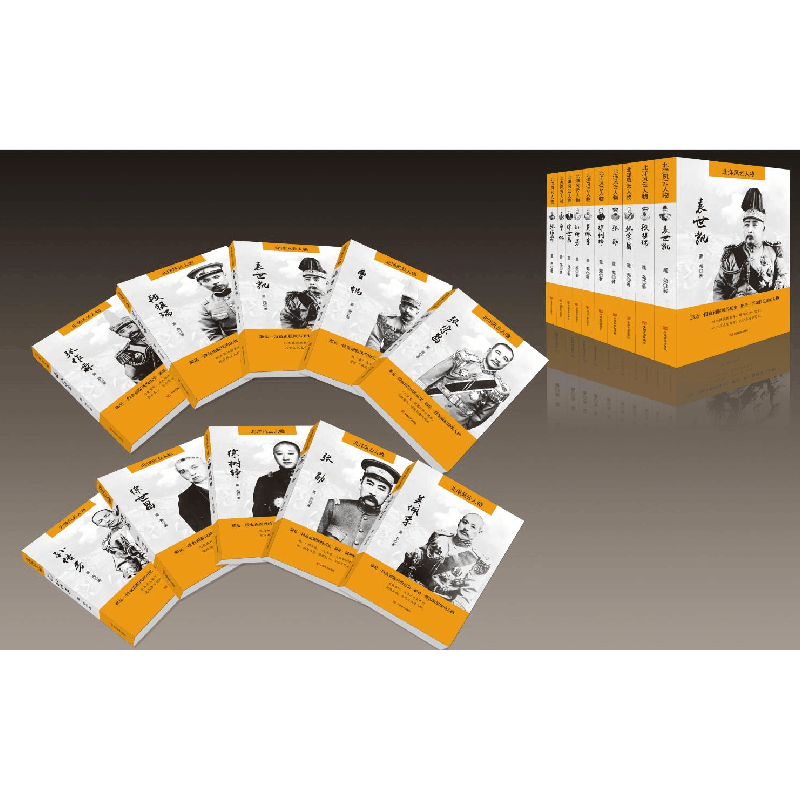 正版新书]段祺瑞董尧9787517116561图片