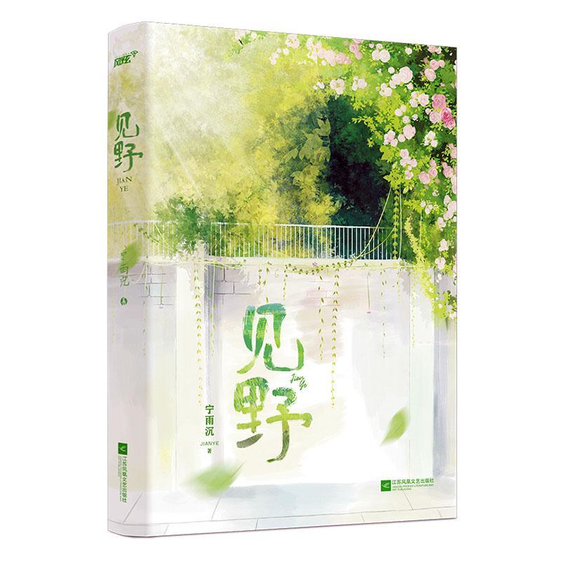 [醉染正版]见野上册 高人气作者宁雨沉破圈高甜青春校园代表作 他的小撩精甜爆啦风炫夏绾绾江野 青春都市校园言情小说书籍完高清大图