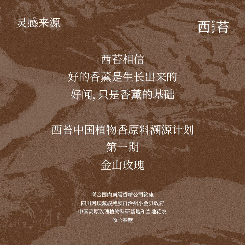 CITTA 金山玫瑰系列无火香薰[节日礼物]檀木玫瑰500ml高清大图