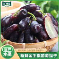 [苏鲜生]云南新鲜金手指葡萄黑提子 新鲜水果 2斤装 无籽蓝宝石美人指黑葡萄 顺丰快递 西沛