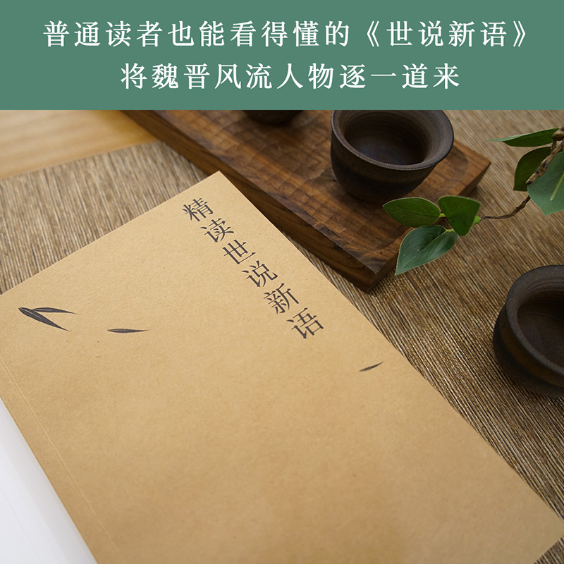 戴建业精读世说新语 [正版]戴建业精读世说新语 戴建业 深入浅出讲透《世说新语》魏晋名士趣事 魏晋风流 古代文学 出品