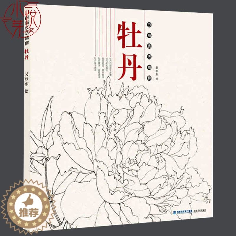 [醉染正版]牡丹 白描技法精解 中国工笔画白描画册临摹范本古风白描勾线底稿图大全画谱画集 美术绘画初自学者零基础入门基础图片