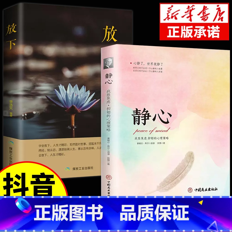 【正版】静心和放下 人生没有什么不可以放下 静修心的书籍 乐观接纳自己爱上生命的不完美 我不能放下的一切 心理学青春励