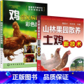 【正版】山林果园散养土鸡新技术+鸡常见病诊治彩色图谱 养鸡技术书及用药散养鸡饲料手册鸡病鉴别诊断图谱大全蛋鸡肉鸡高图鸡