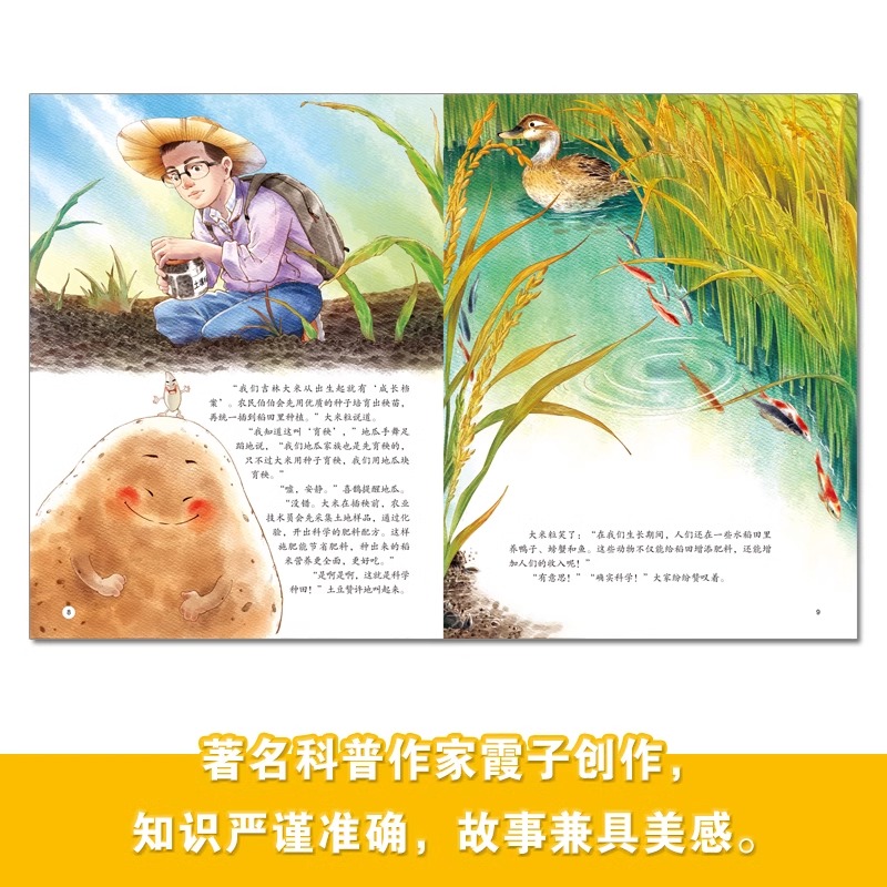 东北人的丰收季 [正版]东北特色文化绘本精装让孩子爱上黑土地大米粒遇上玉米粒查干湖上看冬捕东北人的丰收季婆婆丁飞往黑土地高清大图
