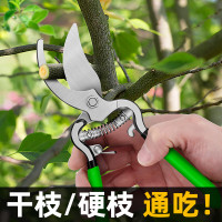 天琪锐 沾塑钢柄果枝剪8寸 GYP-GZJ003