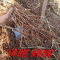 新鲜茅根 毛毛根毛草根茅根甜草根勾结金银花甜茅根 500g去皮白茅根+10g金银花
