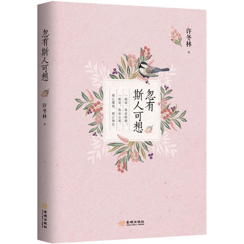 忽有斯人可想 许冬林 著 著 文学 文轩网