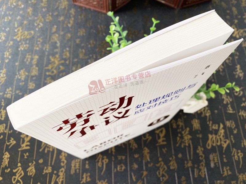 [正版]2024新书 劳动争议处理规则与应对技巧 蔡飞 常见劳动争议纠纷 裁判规则 答辩思路 热点疑难法律实务 法律出高清大图