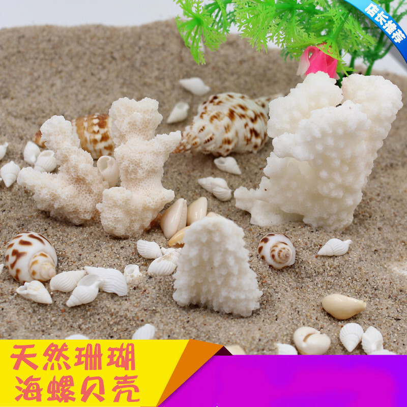 鱼缸装饰造景套餐小水族箱天然贝壳布景海螺底砂工艺品珊瑚