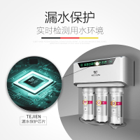 特洁恩(TEJIEN) 家用反渗透直饮双出水纯水机净水器 AF-F600