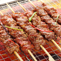 宁夏西吉县1920农户散养精品羔羊 竹签羊肉串1斤