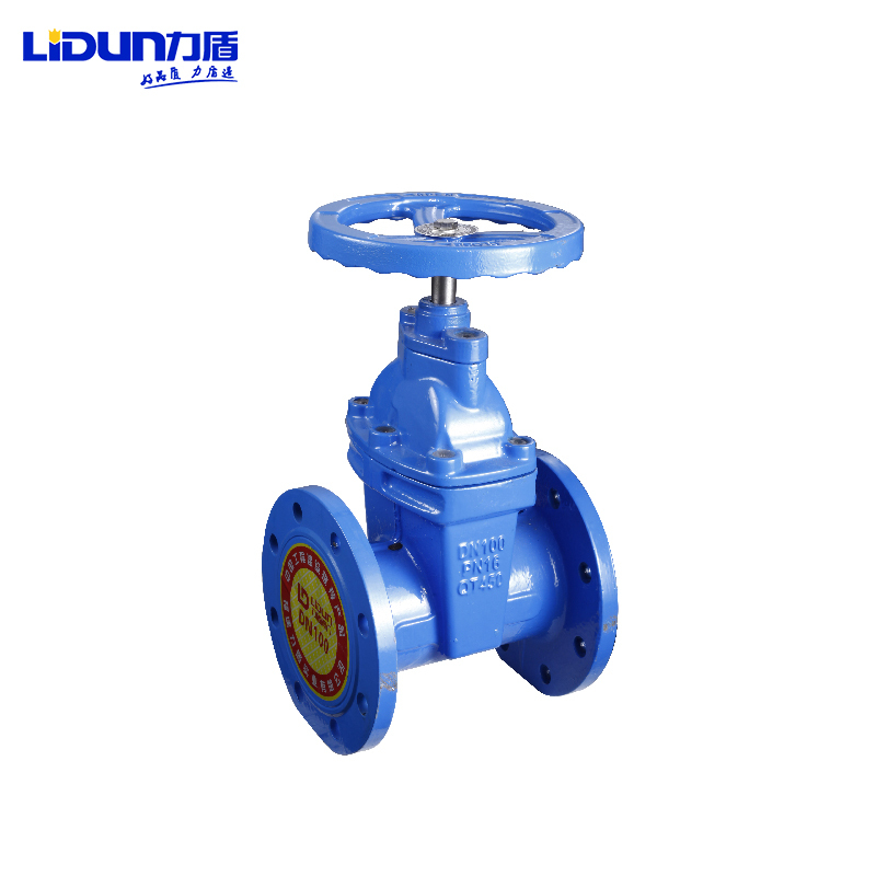 力盾 法兰暗杆弹性座封闸阀 6540 DN100 台高清大图