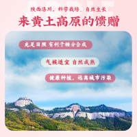 [五个农民]22年新果 陕西洛川苹果红富士礼盒12枚/5斤 单果80-85mm/200g+ 当季新鲜水果生鲜 顺丰速运p