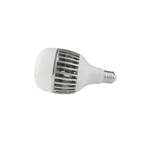 晫安联 ZX2101D AC220V 36W 6500K 螺口式 E27 LED 工业级节能灯泡 ( 计价单位：个） 36W 白色