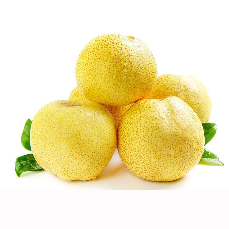 正宗砀山梨5kg1012mm