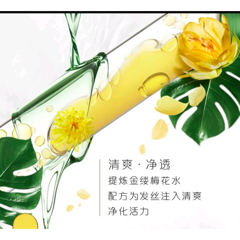 飘柔洗发水 滋润去屑/沁爽去屑 400ml 洗发露洗发水 去屑洗发水男士女士通用 新老包装随即发货