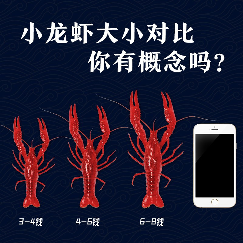 鄱阳湖[大虾6-8钱]麻辣小龙虾630g*3盒 加热即食油焖小龙虾熟虾活虾烧制大号虾 麻辣味