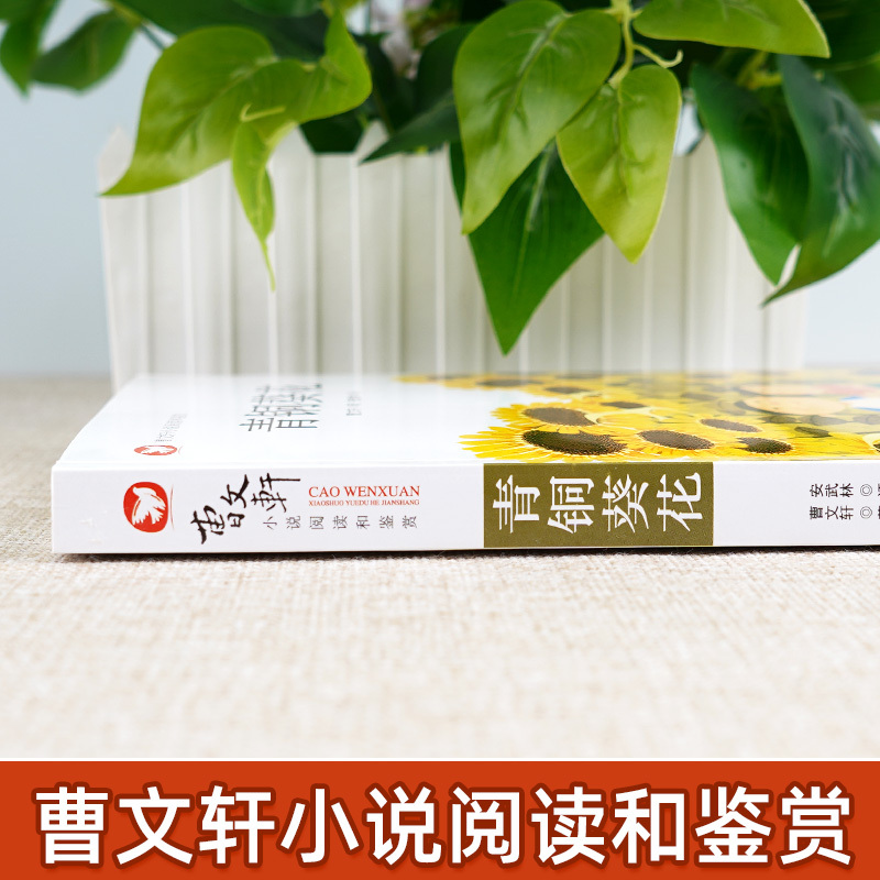 青铜葵花(3件26.8 4件35) [正版]青铜葵花曹文轩作品四年级下册阅读课外书籍经典儿童文学全套小学生三五六年级