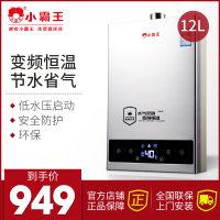小霸王 DS6008燃气热水器家用12L天然气智能变频恒温特价强排式