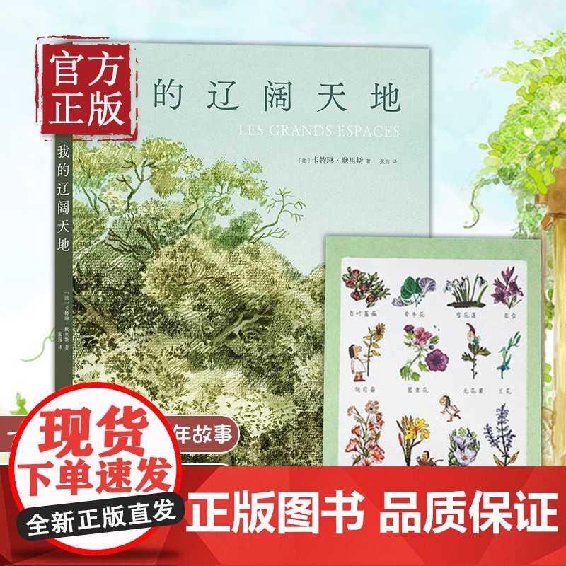 我的辽阔天地 卡特琳.默里斯著 第46届安古兰漫画节决选作 法兰西艺术院首位漫画家院士 童年与乡野 久违的辽阔与快乐书籍高清大图