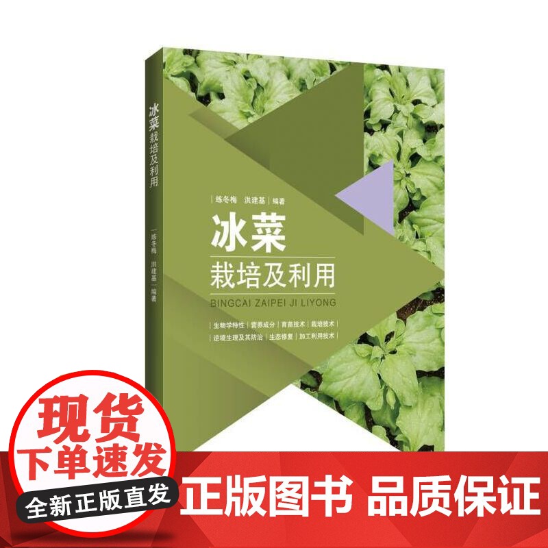 冰菜栽培及利用高清大图