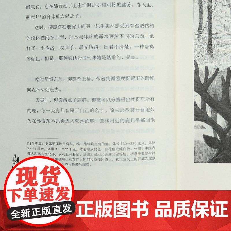 新版 黑鹤动物传奇小说系列套装共6册小学生9-10-12周岁三四年级五六年级语文暑假阅读课外书籍格日勒其木格黑鹤李艳芬绘高清大图