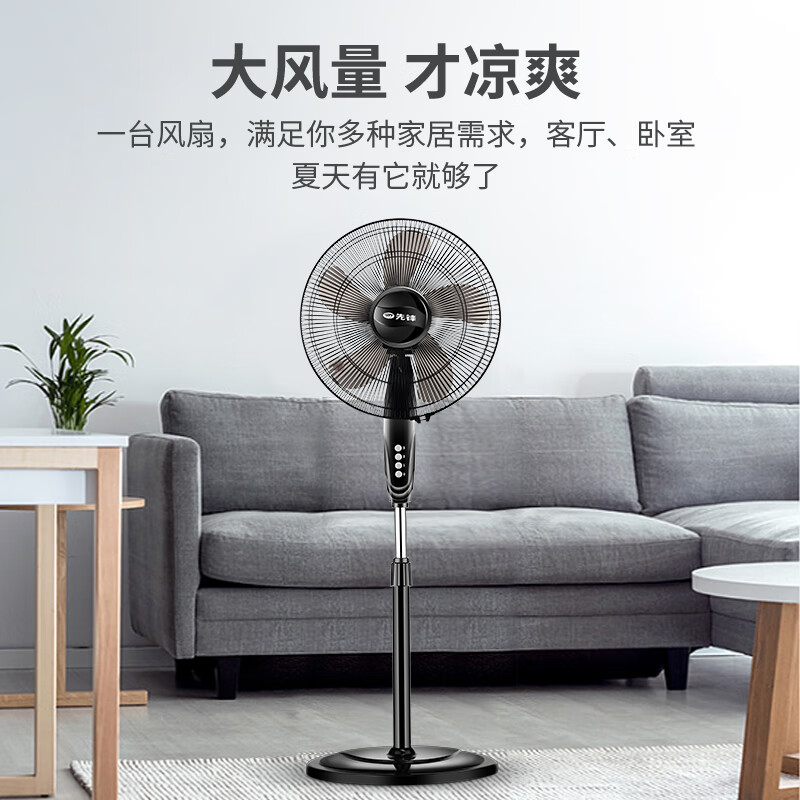 先锋黑色大风量DLD-D1落地扇摇头可升降电风扇家用