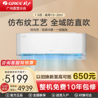 格力时光序1.5匹新一级节能壁挂式空调KFR-35GW/(35516)FNhAa-B1(WIFI)(钛空银)