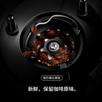 (苏宁集采)摩飞(Morphyrichards)美式咖啡机全自动磨豆家用咖啡机不锈钢保温咖啡壶 MR1028