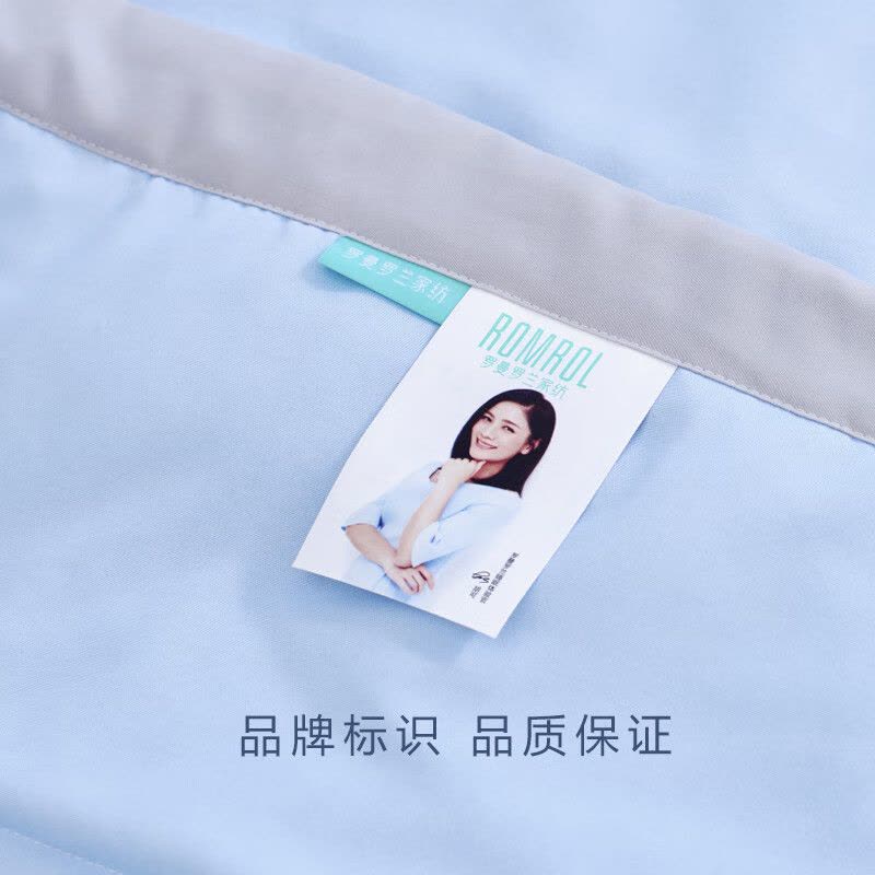 罗曼罗兰(ROMROL)春夏新款夏被 抗菌水洗蛋白夏被 海沫 150*200CM图片