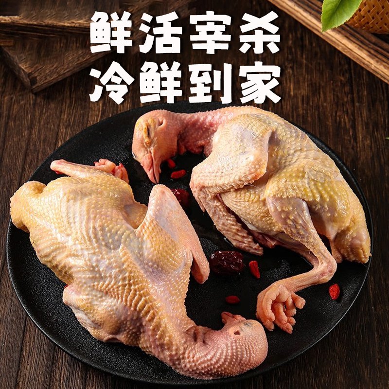 [苏鲜生推荐]三物纪 新鲜现杀乳鸽2只装 300-350g/只 原粮鸽子肉土鸽子肉鸽煲汤滋补高清大图