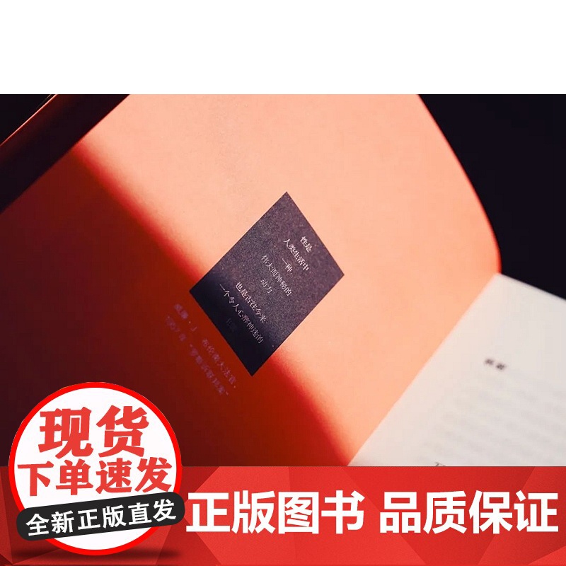正版 性与法律 精装 [美] 杰弗里·R.斯通 著 何远 译 中国民主法制出版社 9787516222294高清大图