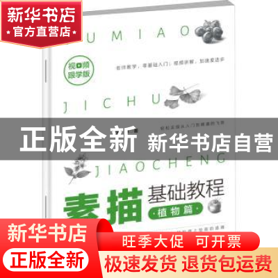 正版 素描基础教程:植物篇 艺林著 朝华出版社 9787505445918 书